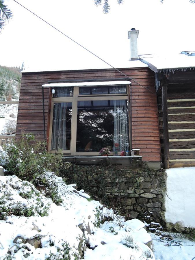 Apartamento Atelier Eliska Staré Hory Exterior foto